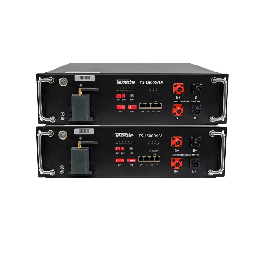 Pack 2 baterías Litio 4.8kWh 48V TS-L5000/LV Tensite