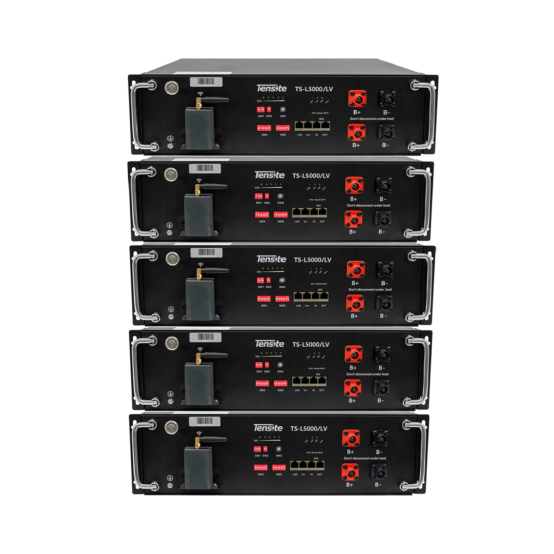 Pack 5 baterías Litio 4.8kWh 48V TS-L5000/LV Tensite
